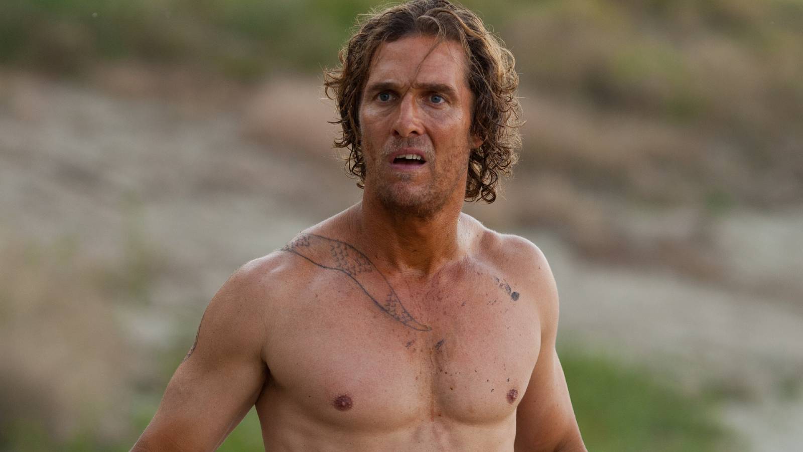 matthew-mcconaughey-in-mud-1.jpg