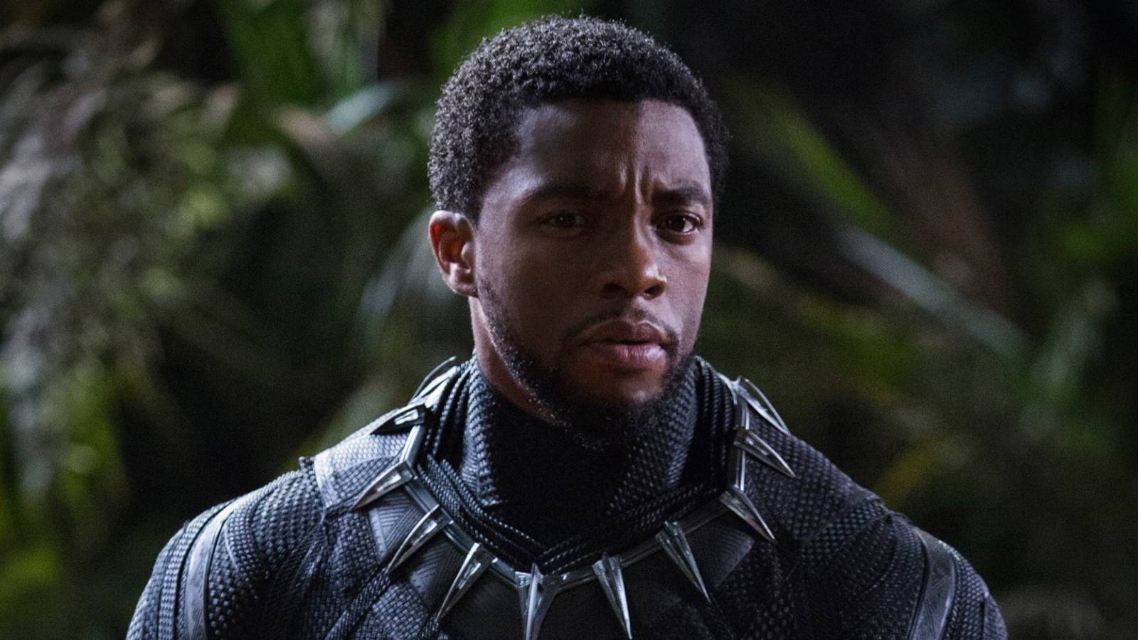 Why The MCU Didn't Recast Chadwick Boseman's T'Challa Black-Panther-TChalla.jpg