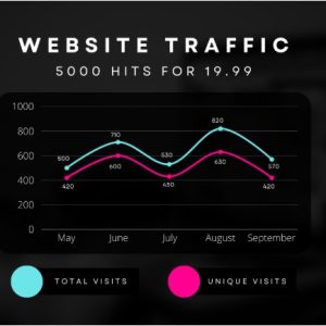 Boost Your Web Traffic & Skyrocket Google Rankings   Get 5000 Hits for 1 Month for only 19.99 a month!!!!!