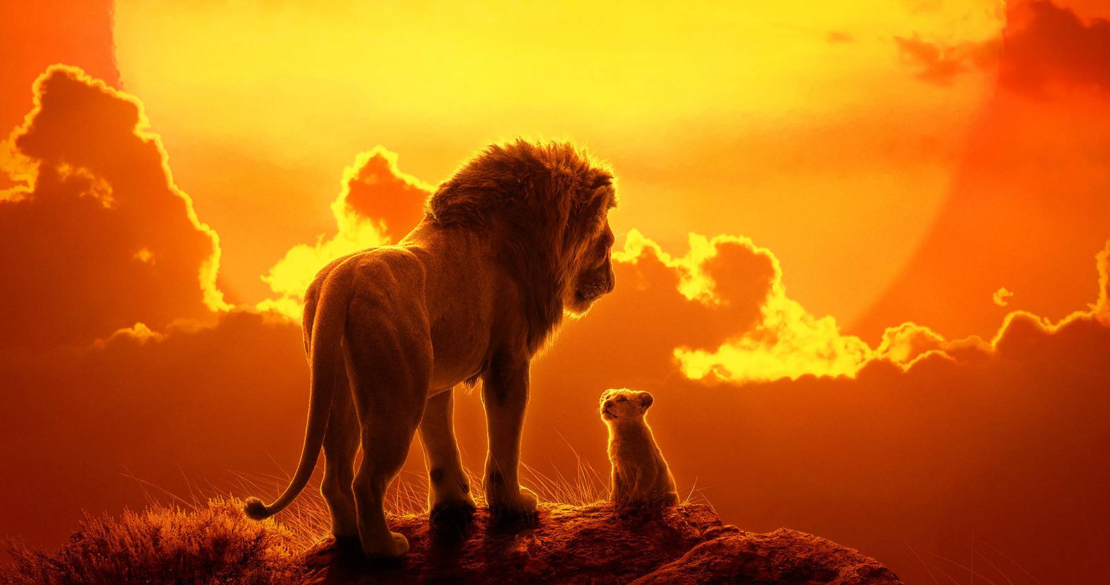 The-Lion-King-Live-Action-Poster-Cropped.jpg