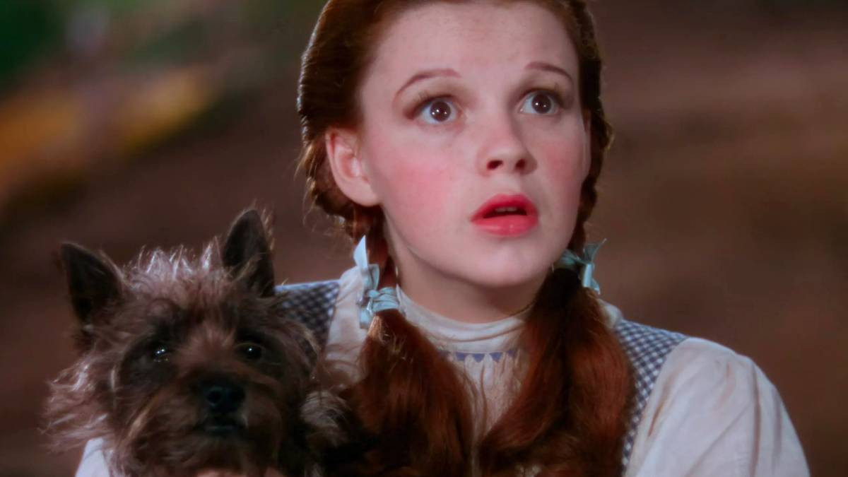 judy-garland-as-dorothy-looking-upward-while-holding-toto-in-the-wizard-of-oz.jpg