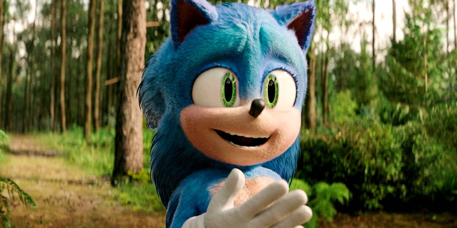 sonic-looking-excited-in-the-forest-in-sonic-the-hedgehog-3.jpg