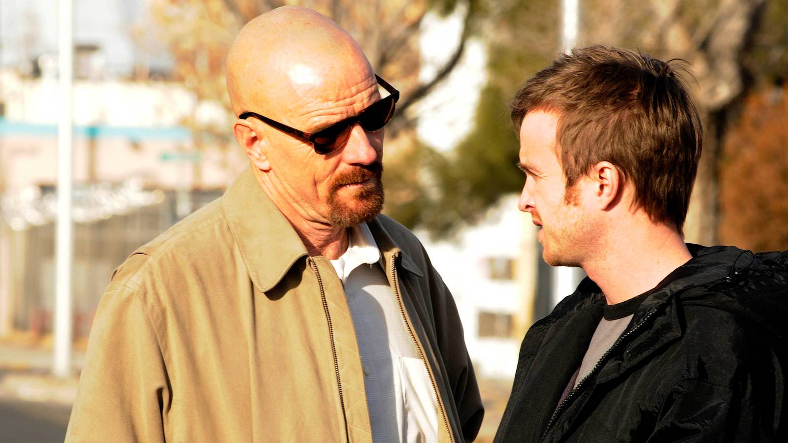 walter-and-jesse-in-breaking-bad-season-3.jpg
