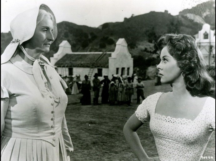 video-section-banner-image