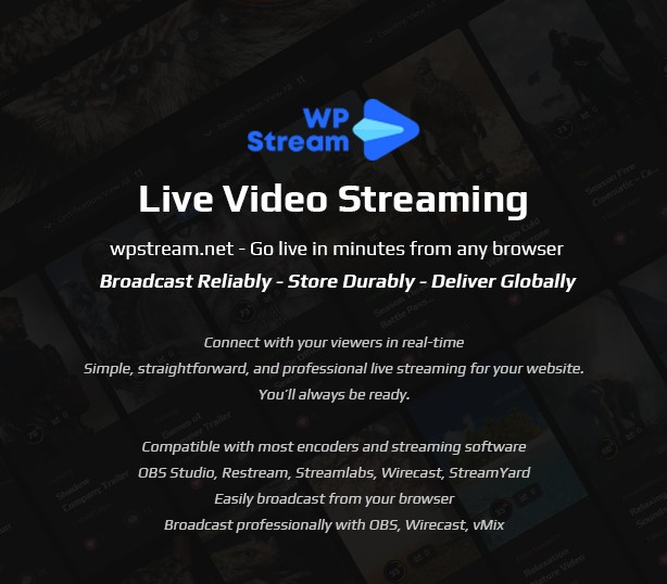 VidMov - Video WordPress Theme