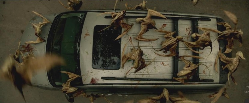 video-section-banner-image